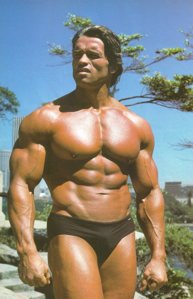 Vegetarian bodybuilding: 5 things to consider before getting started - The Plaid Zebra (blog)