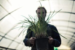 permaculture_Plaid_Zebra