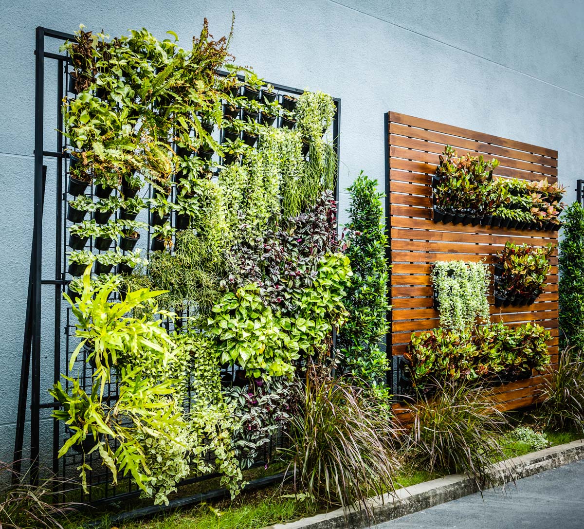 Vertical Gardens Are The Key To Self sufficiency In The City