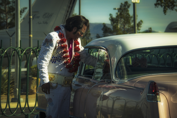 1_What Does America Look Like_Plaid Zebra