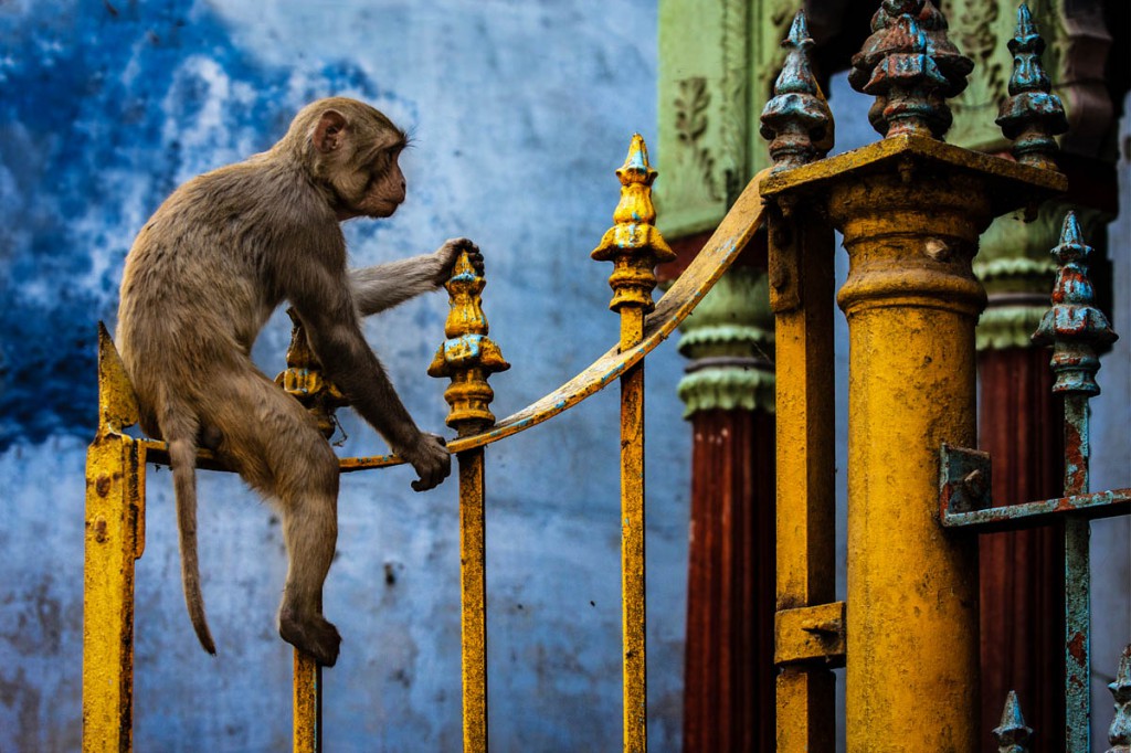 3_Varanasi’s Ganges River