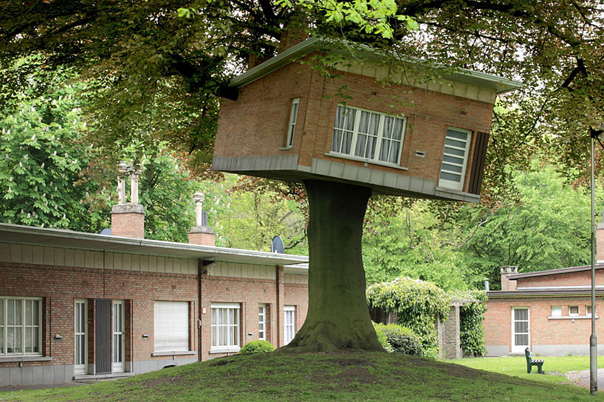 12_tree houses
