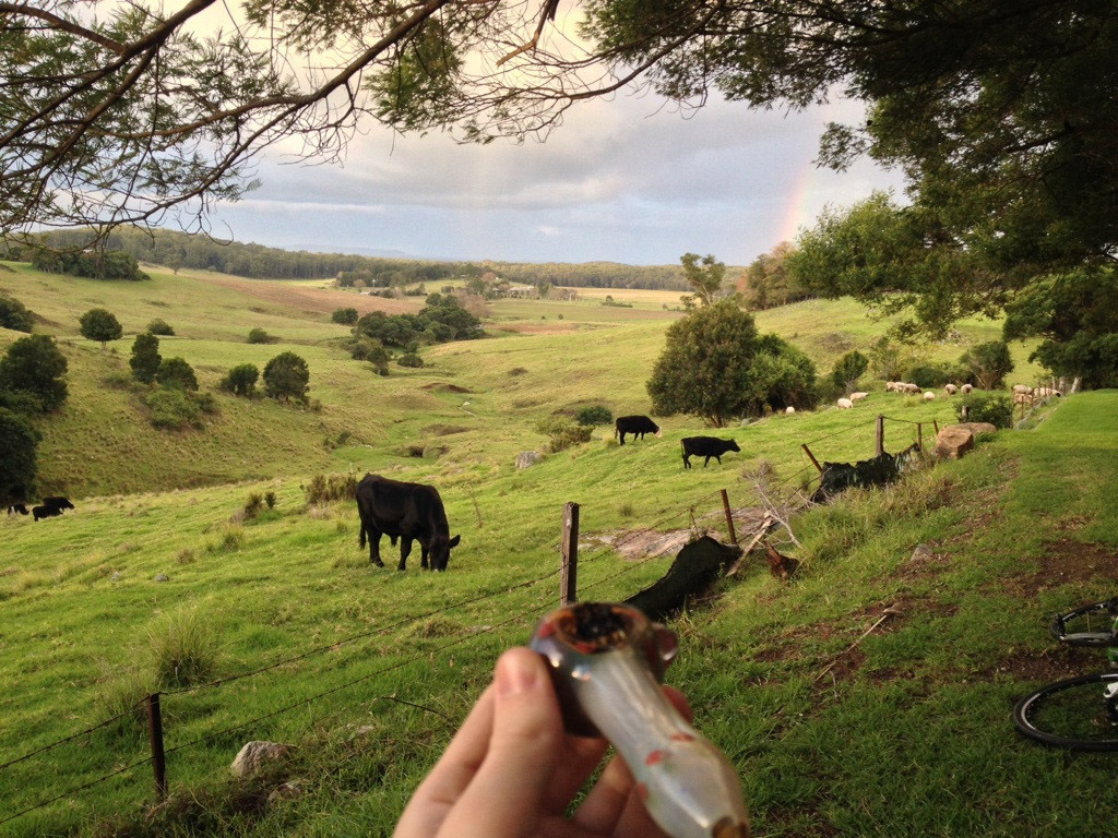 These epic smoking spots will make you want to get high right now – The  Plaid Zebra