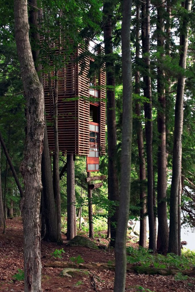 4_tree houses