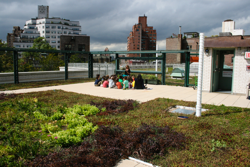 2_solar green roofs NYC