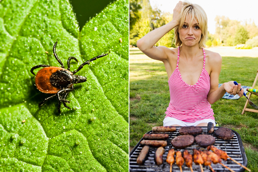 2_trick to turn vegetarian