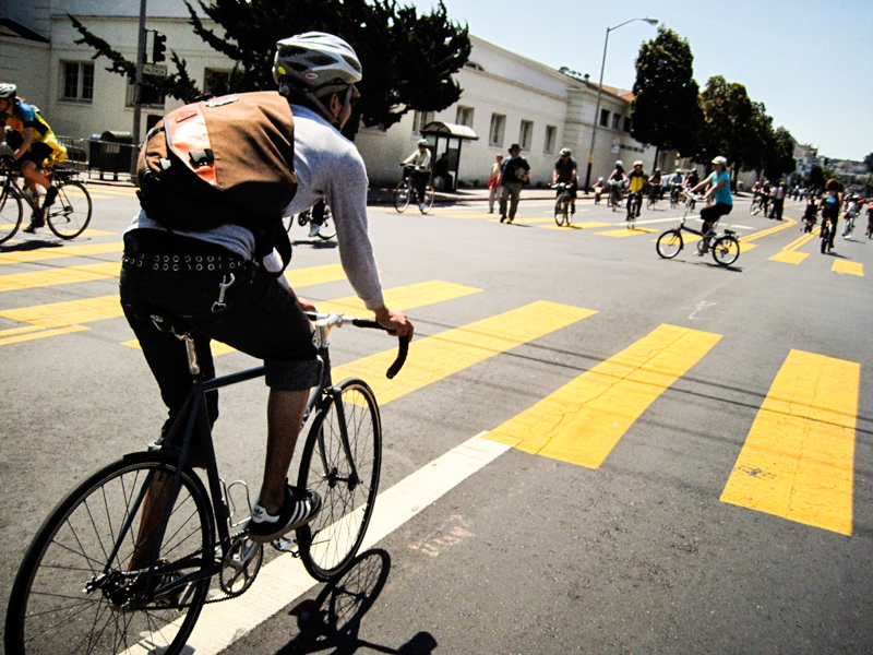 3_Earth’s sixth mass extinction