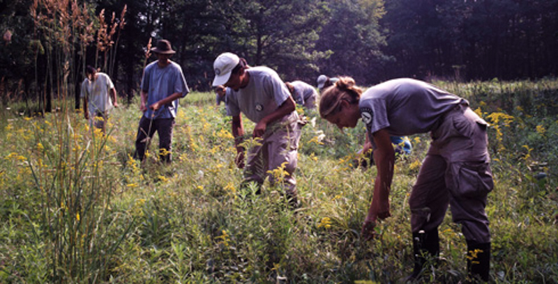 6_Earth’s sixth mass extinction