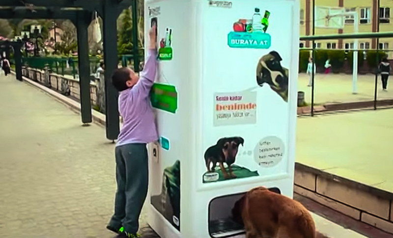 3_animal feeding machine