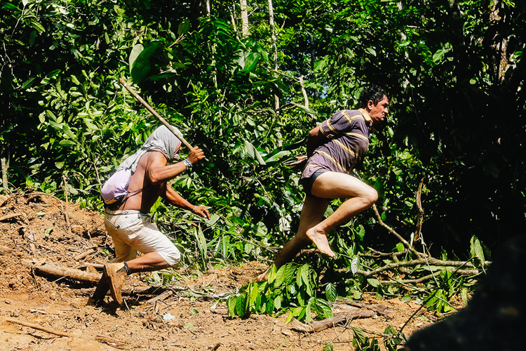 4_Brazil’s forest villagers Illegal Loggers
