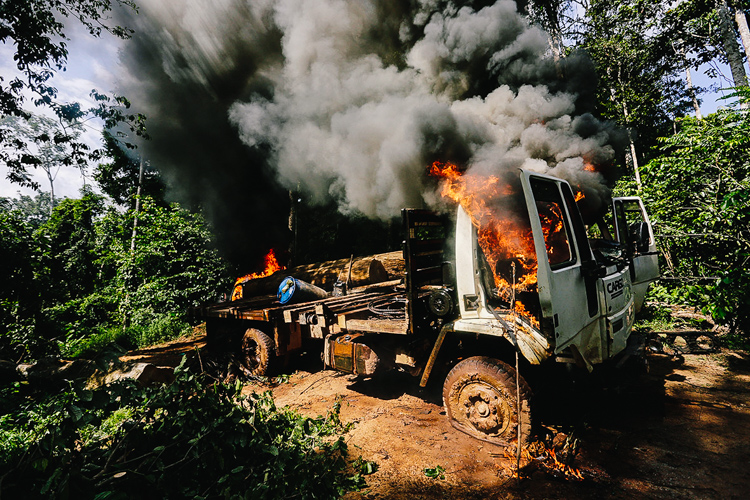 7_Brazil’s forest villagers Illegal Loggers