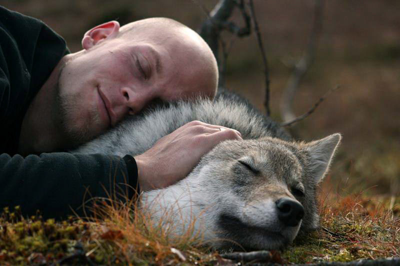 2_cuddle with wolves