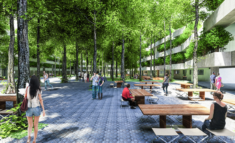 3_university forested campus