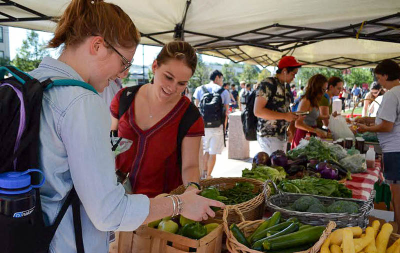 4_eliminating food waste