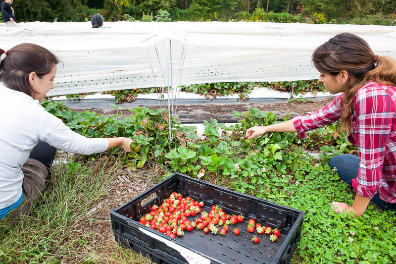 5_eliminating food waste