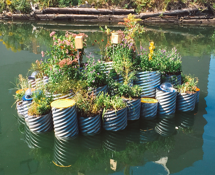 6_polluted waterway tiny floating garden