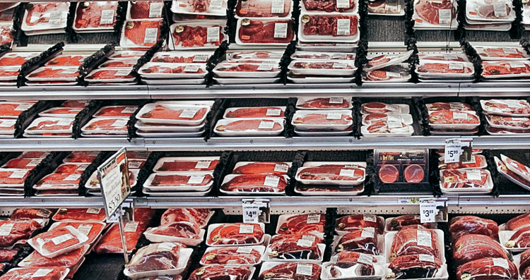 3_eating bugs instead of meat