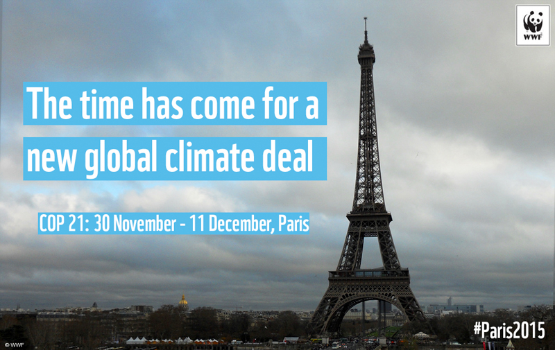 5_UN climate change summit be environmentally-literate