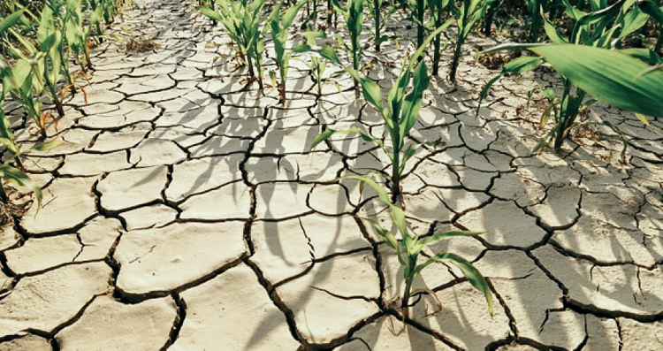 5_eating bugs instead of meat