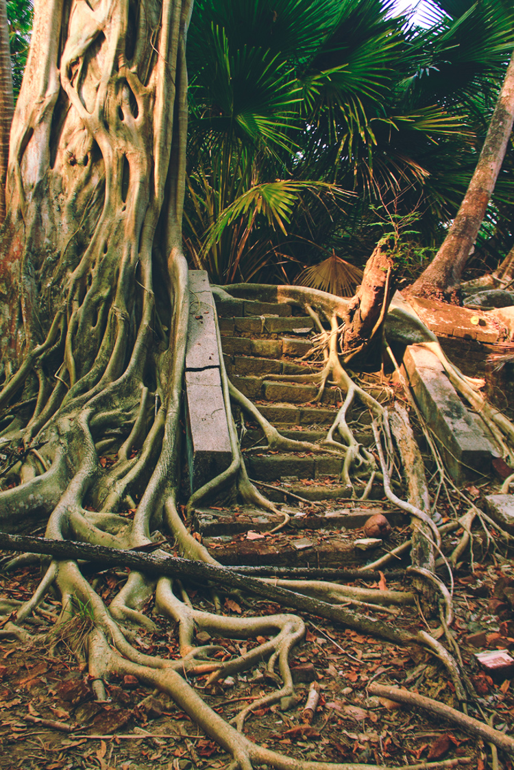1_The Jungle Book_abandoned Island