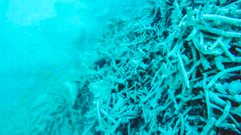 2_Chinese fishermen are destroying Philippine-controlled coral reefs