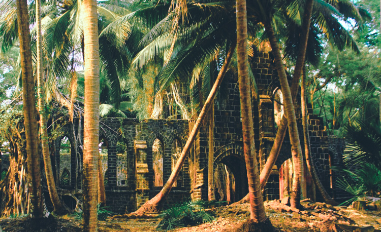 3_The Jungle Book_abandoned Island