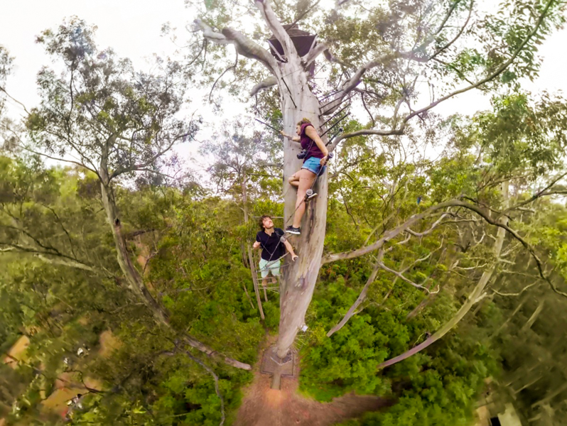 4_360 video tree climb
