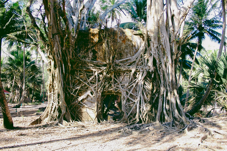 4_The Jungle Book_abandoned Island