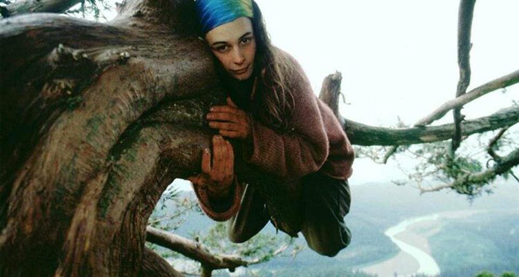 0_hugging trees is good for you