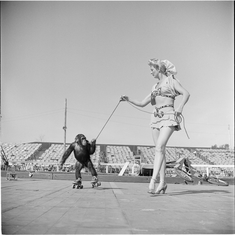 5_circus life in the 1940s photos