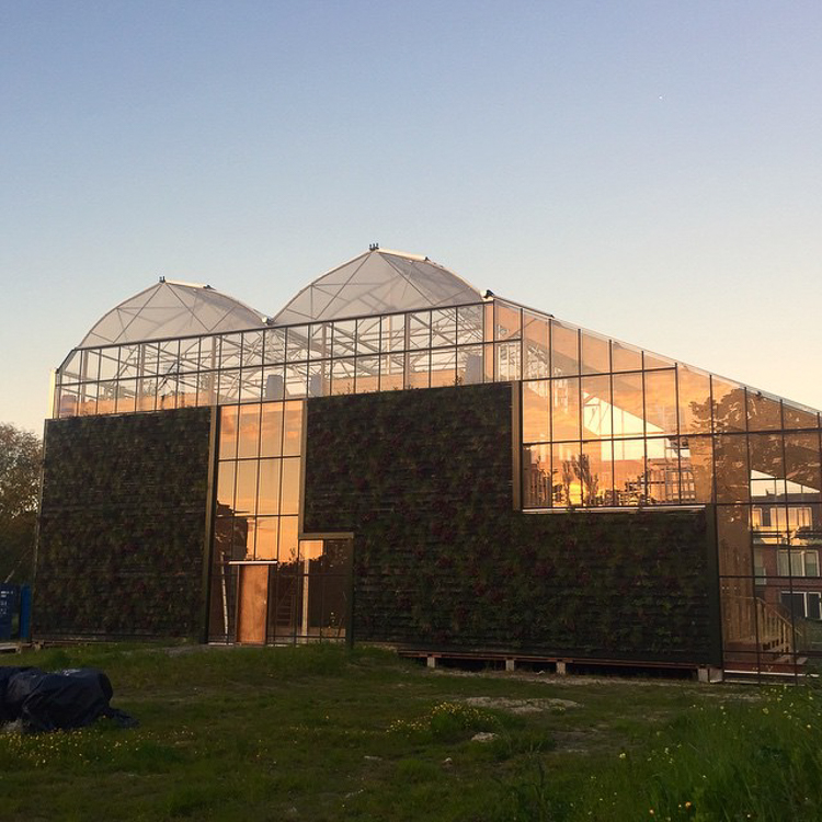 4_sustainable and edible green-house home