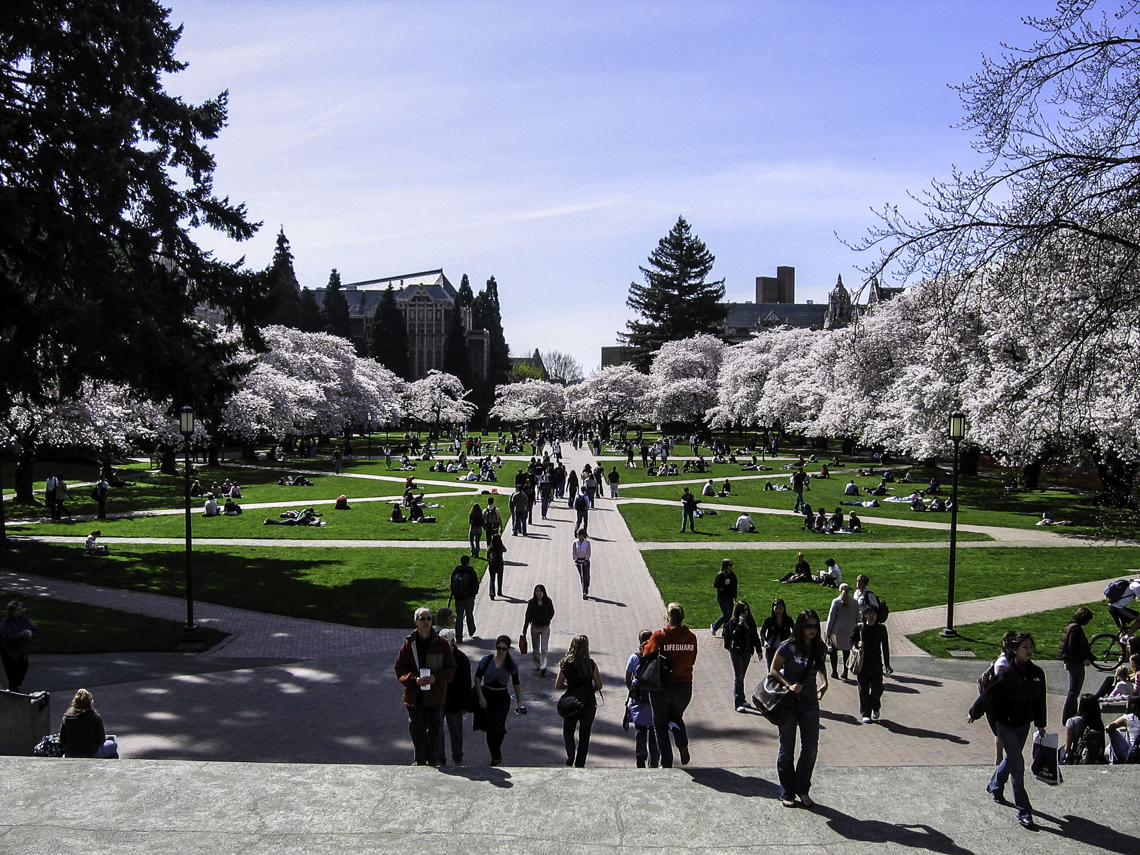 "University of Washington quad in spring in Seattle" copyright CC0 from goodfreephotos.com