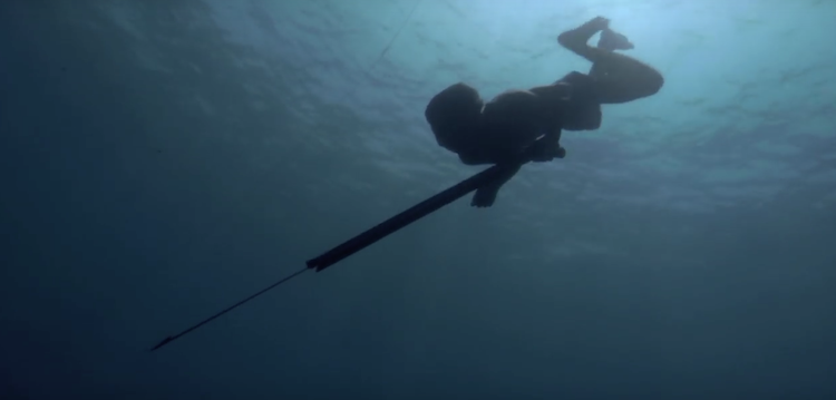 screen-shot-2016-12-11-at-11-51-29-pm