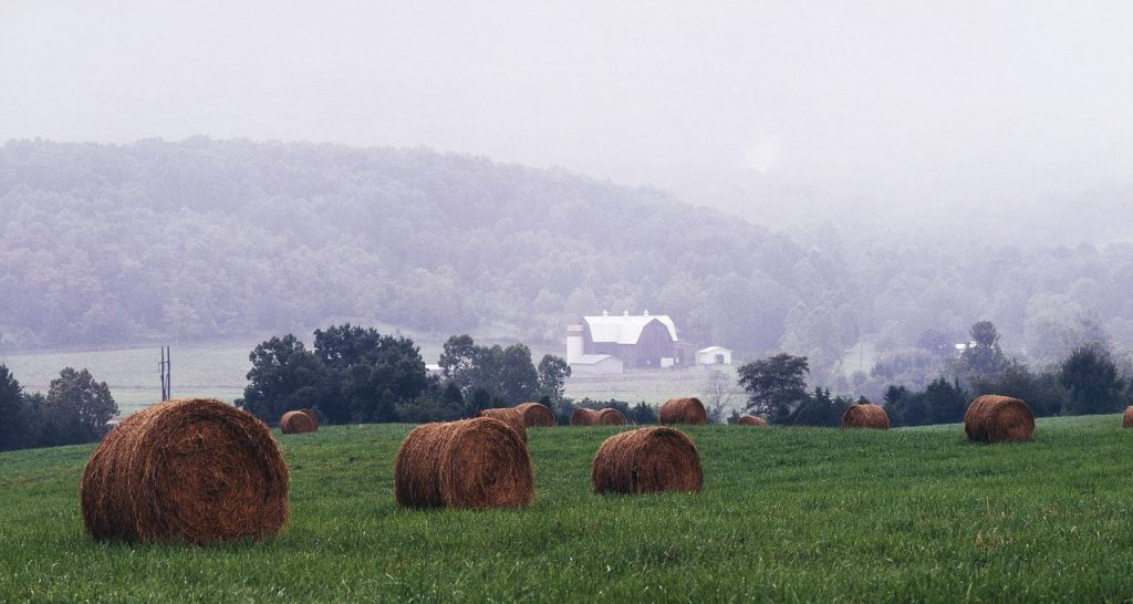 Shenandoah valley