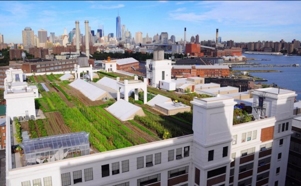 urban farming