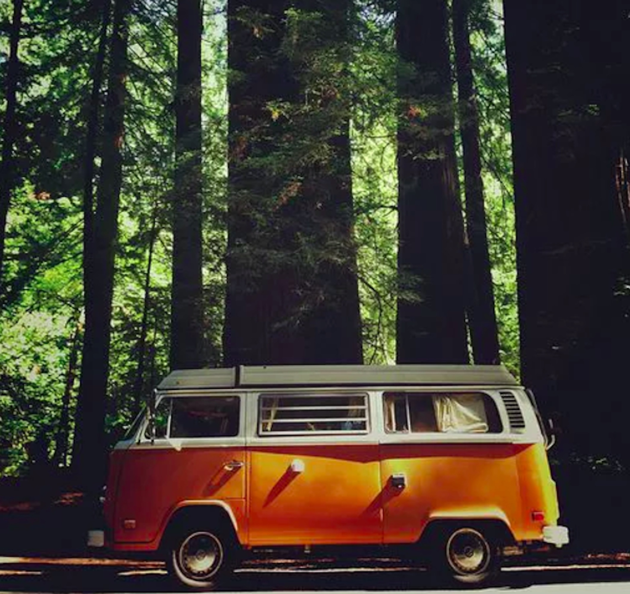 a hippie vans