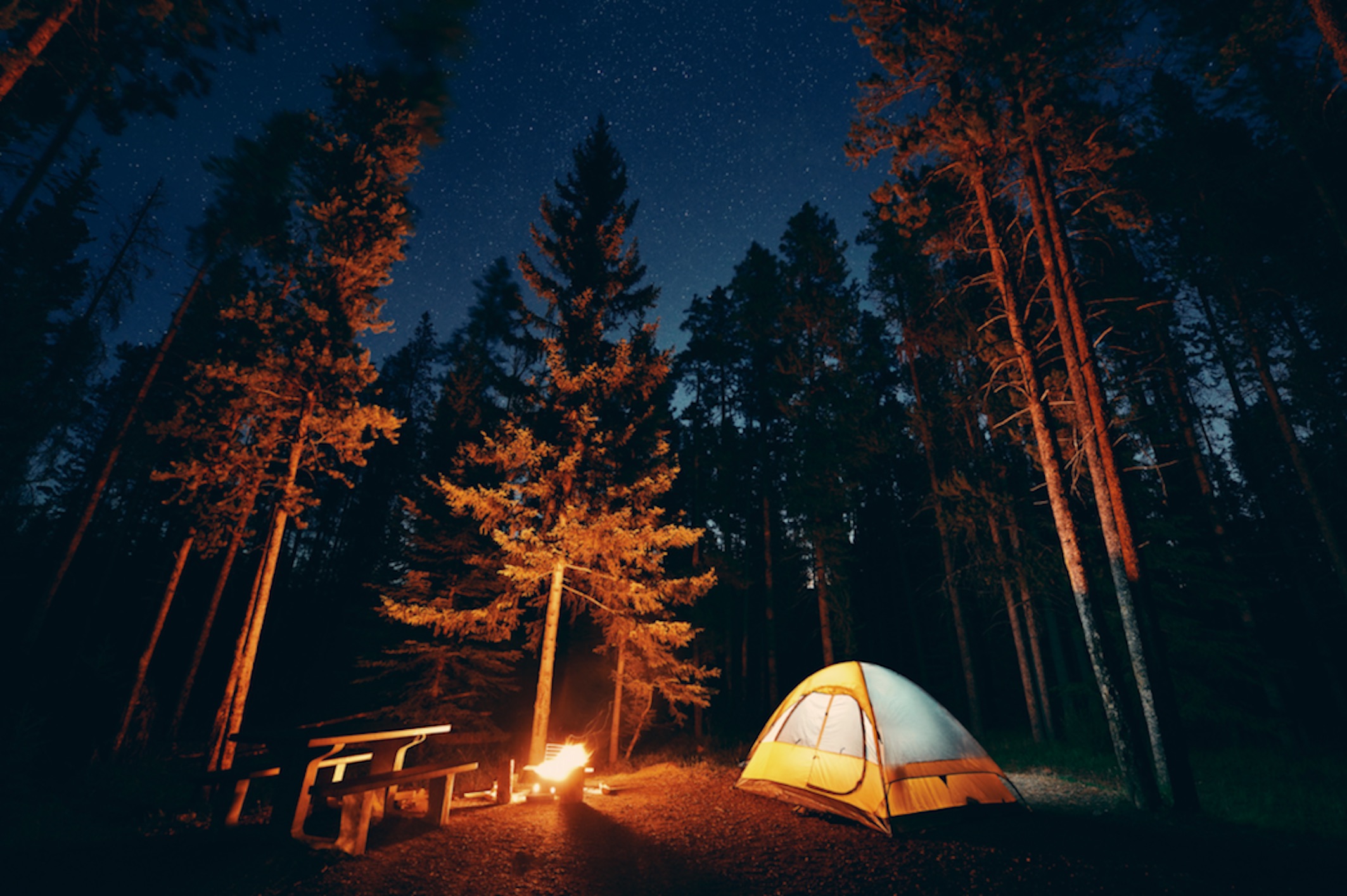 a camping trip